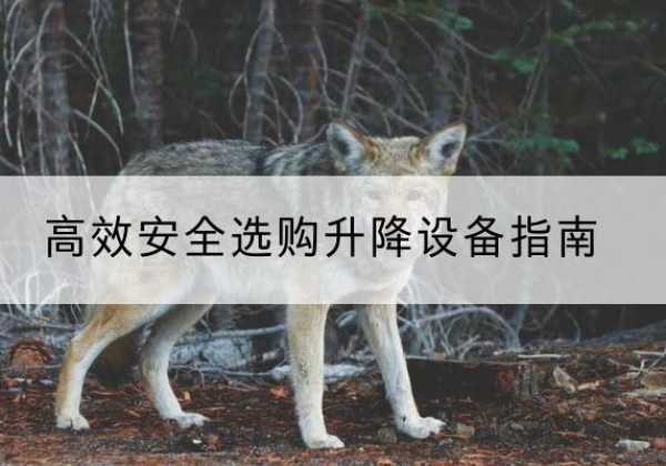 邛崃升降货梯厂家推荐-*安全选购升降设备指南
