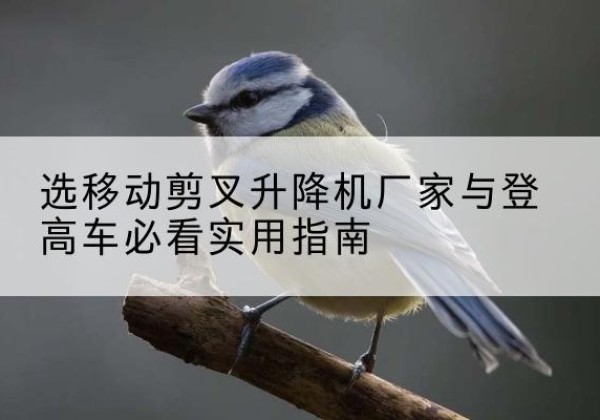 邛崃电动升降机厂家-选移动剪叉升降机厂家与登高车必看实用指南