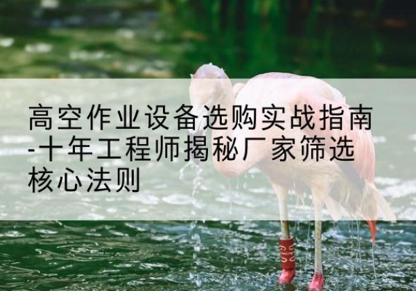 邛崃剪叉式升降机厂家-高空作业设备选购实战指南-十年工程师揭秘厂家筛选核心法则